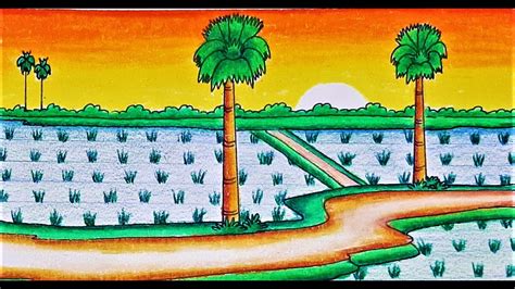Easy Rice Fields Scenery Drawing .